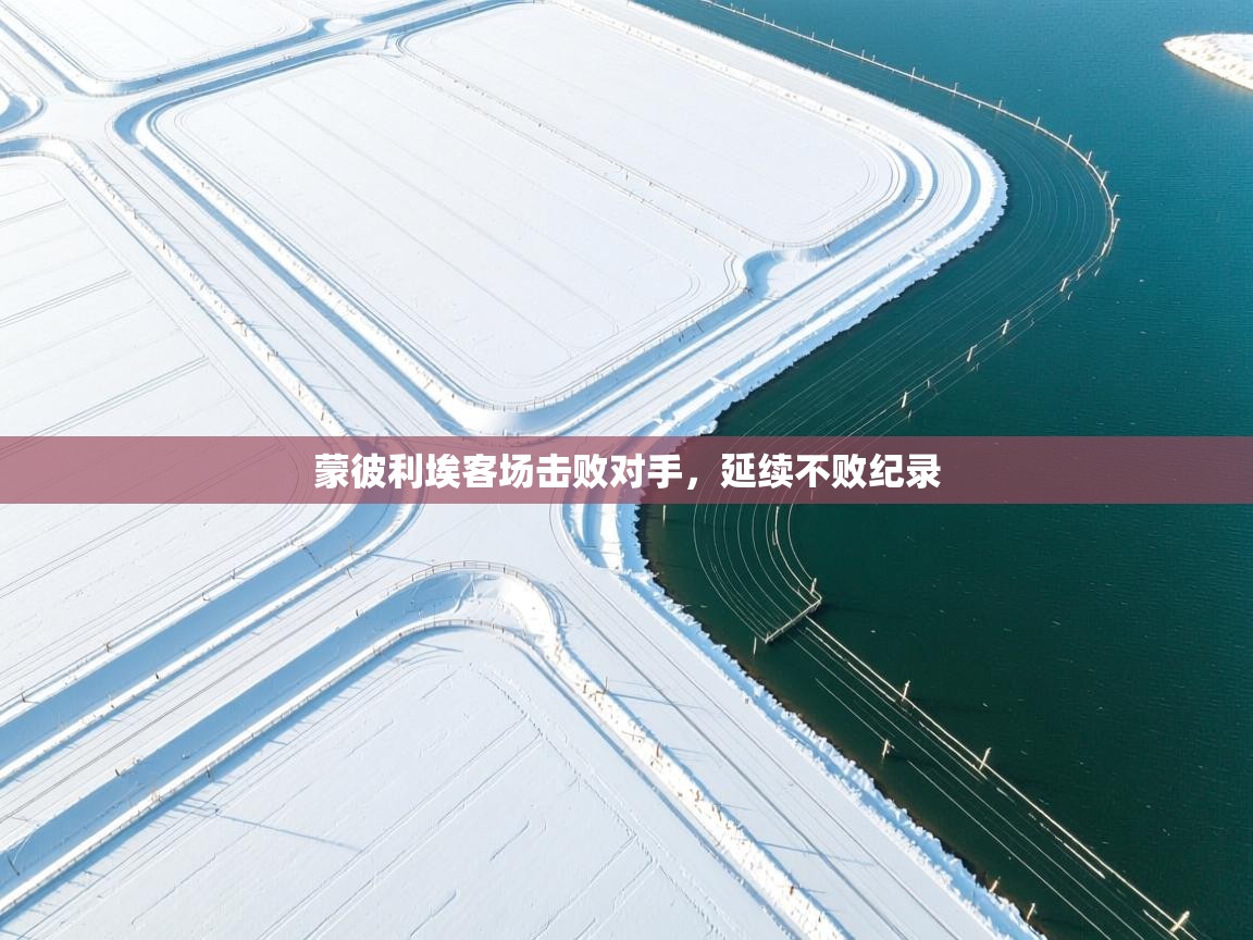 蒙彼利埃客场击败对手,延续不败纪录 第2张